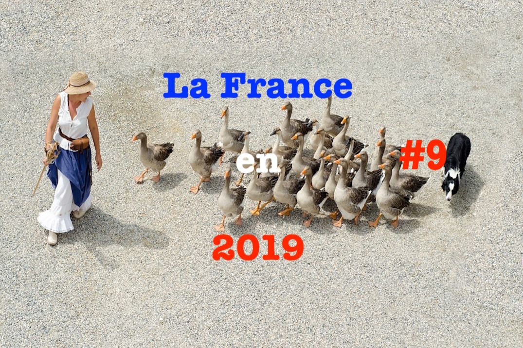 La France en 2019 #9