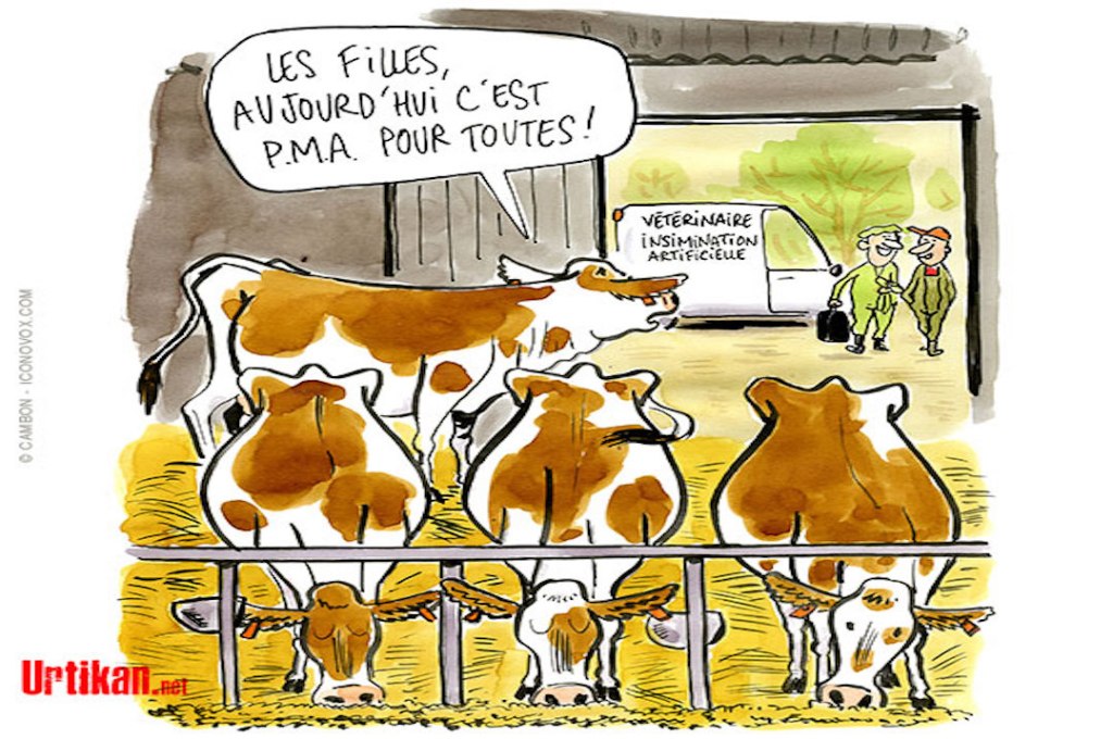 La politique du carnet de&nbsp;chèques.