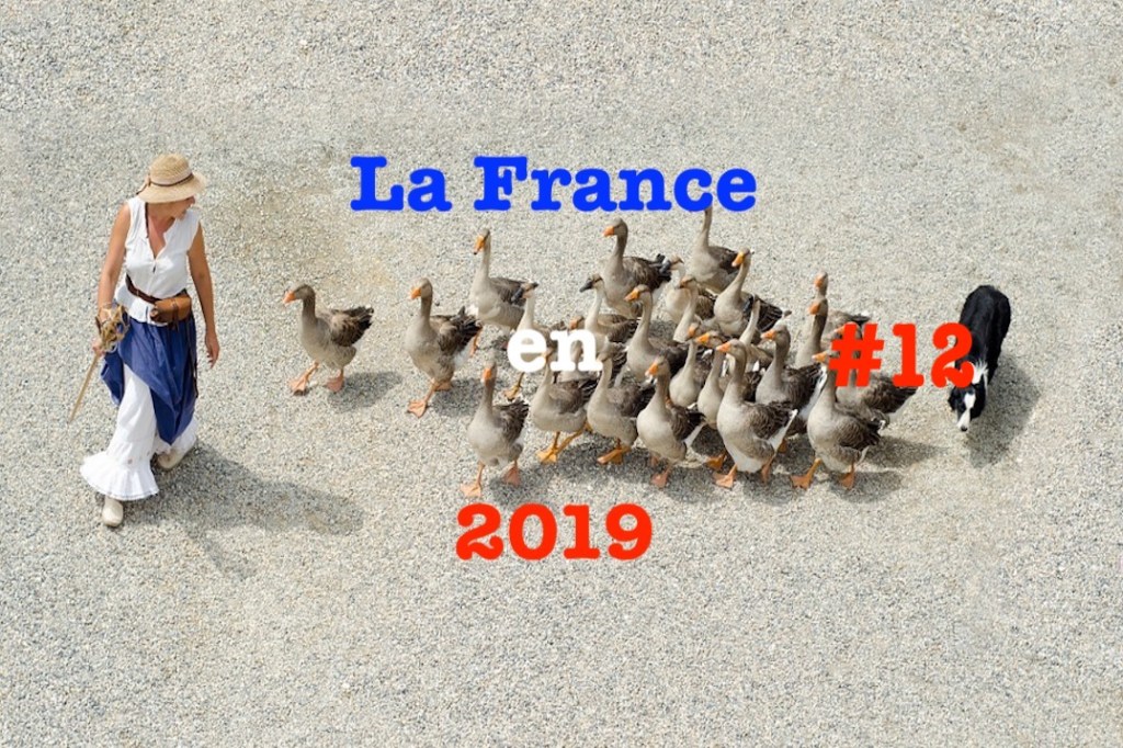 La France en 2019&nbsp;#12