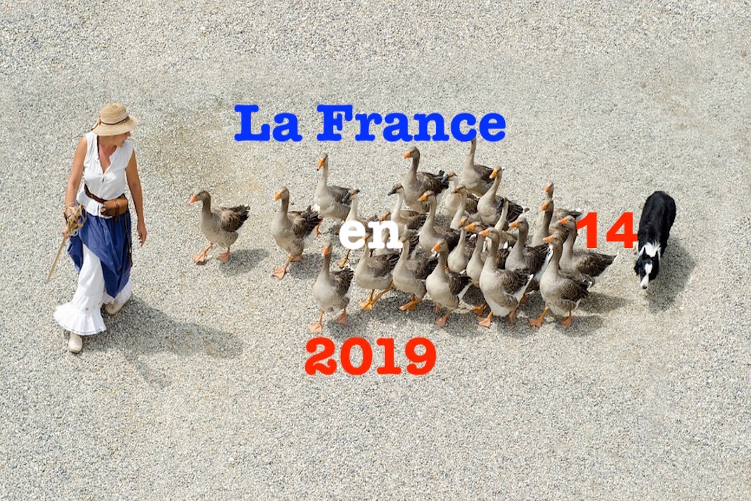 La France en 2019 #14 fin