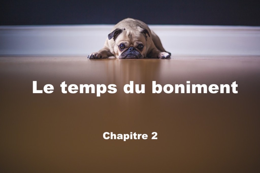 Le temps du boniment&nbsp;#2