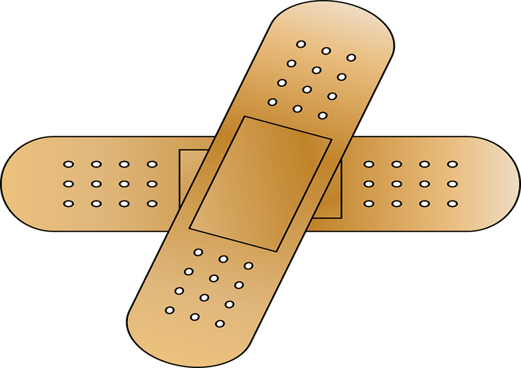 Les dix plaies françaises