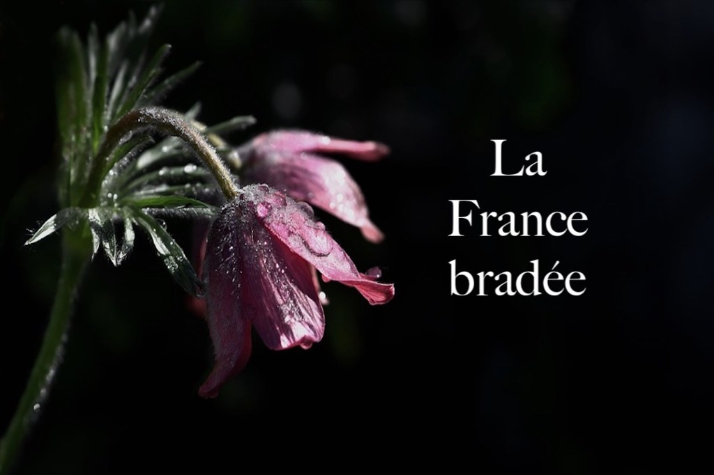 La France bradée