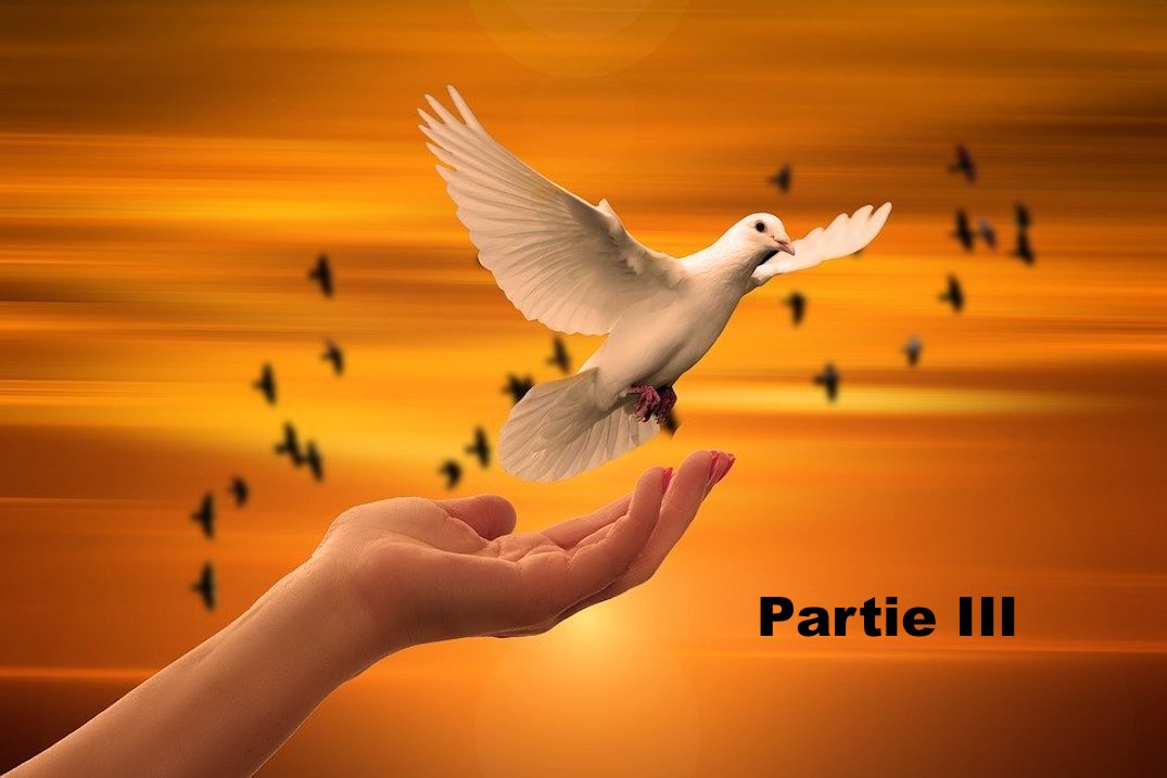 Que la foi éclaire le monde ! III