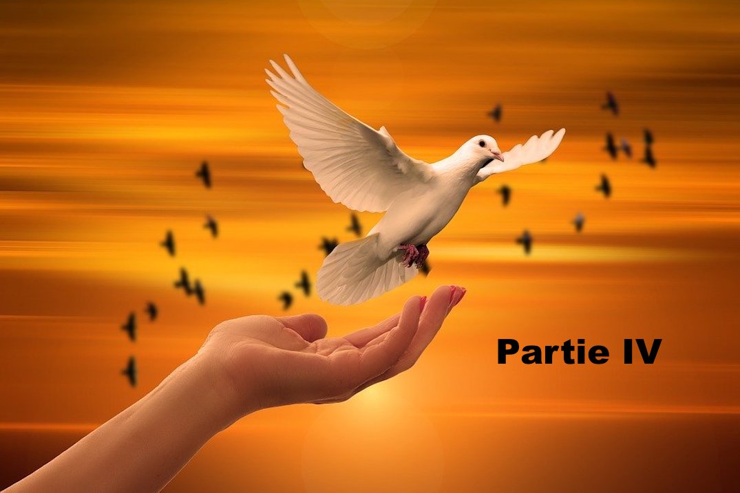 Que la foi éclaire le monde ! IV