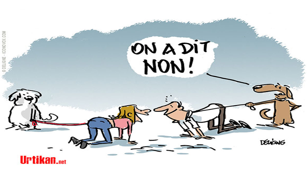 Amateur et fier de l’être !