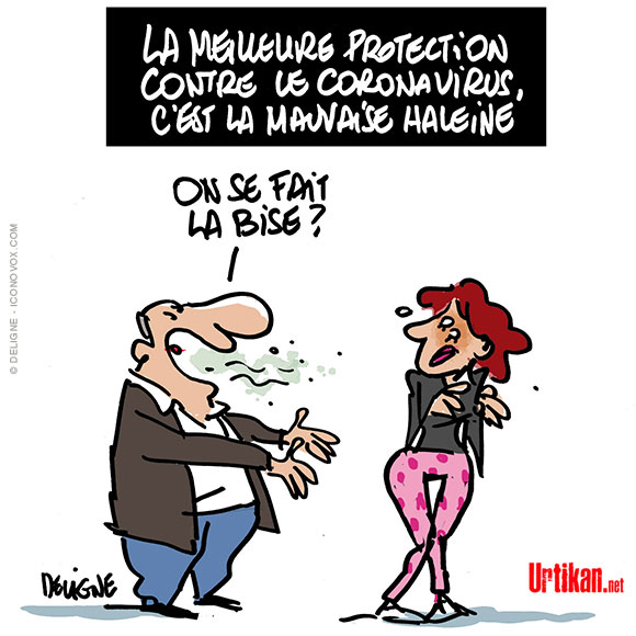 Le parti politique "Q"