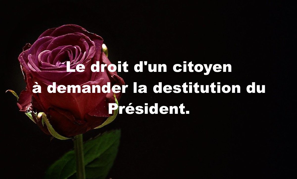 Le droit d&rsquo;un citoyen à demander la destitution du Président.