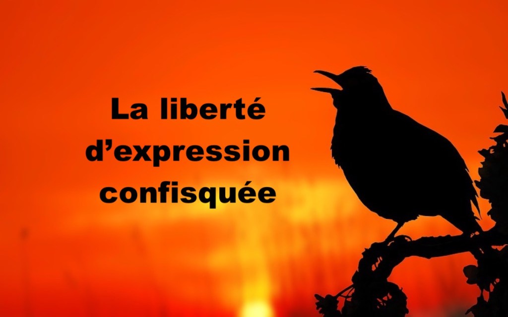 La liberté d&rsquo;expression confisquée