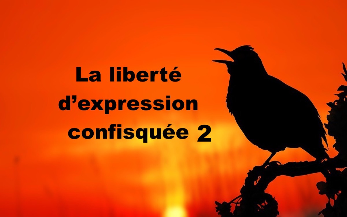 La liberté d'expression confisquée #2