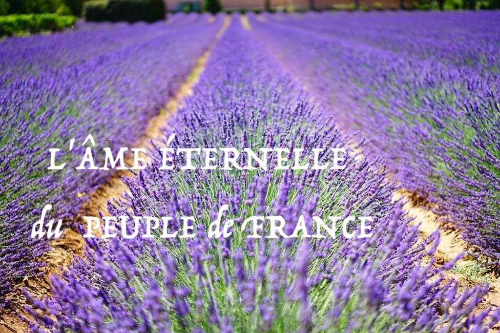 L&rsquo;ÂME ÉTERNELLE du PEUPLE de&nbsp;FRANCE