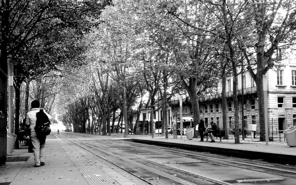 LES BOIS DE&nbsp;BORDEAUX