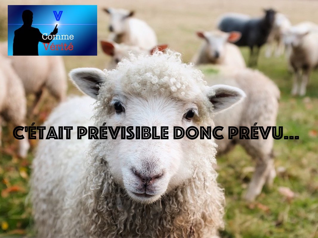 V comme Vérité #13