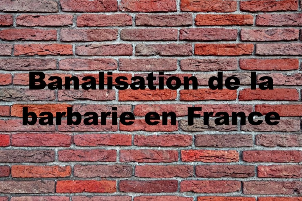 Banalisation de la barbarie en&nbsp;France