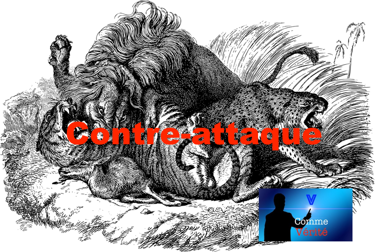 V comme Vérité #16