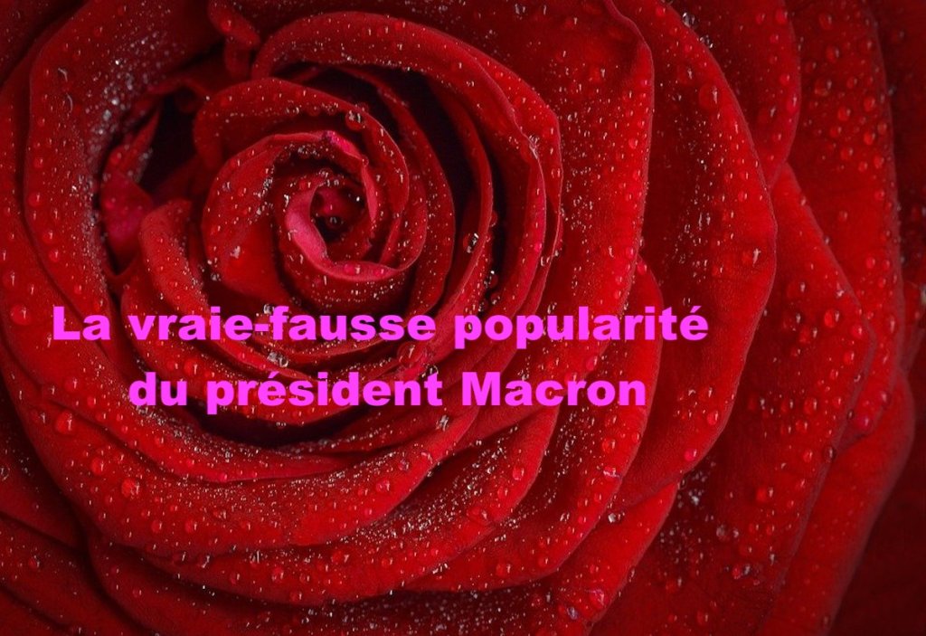 La vraie-fausse popularité du président&nbsp;Macron