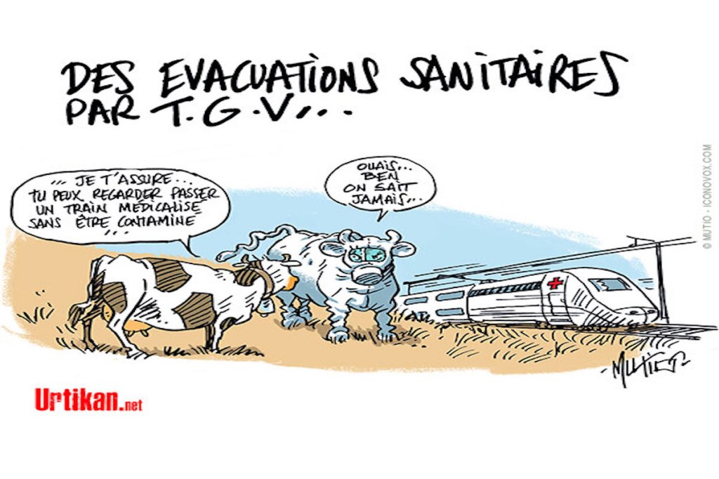 L’orgueil présidentiel et ses&nbsp;ravages.