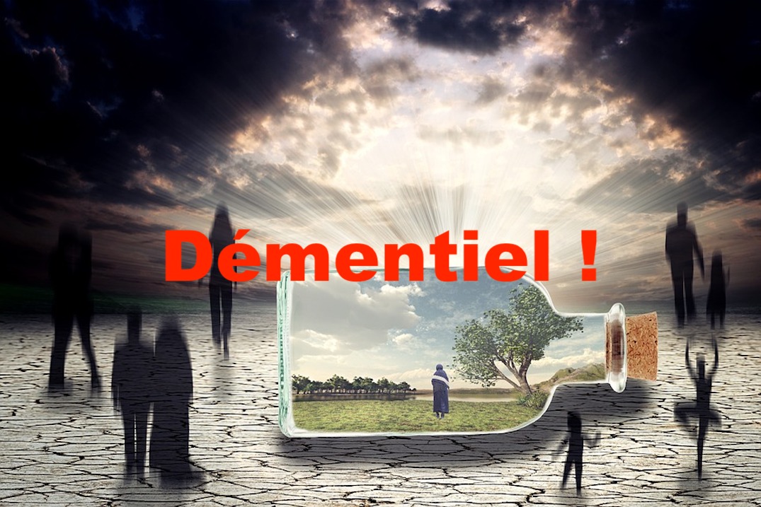 Démentiel !