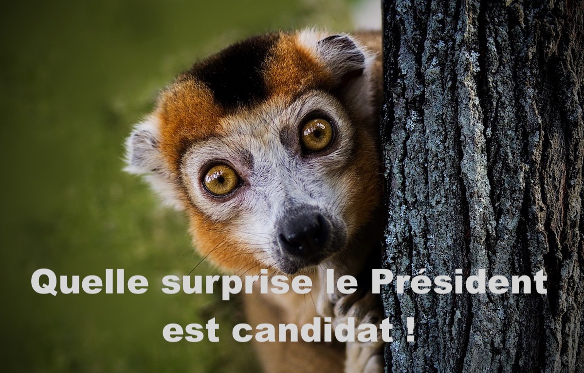 Quelle surprise le Président est candidat !