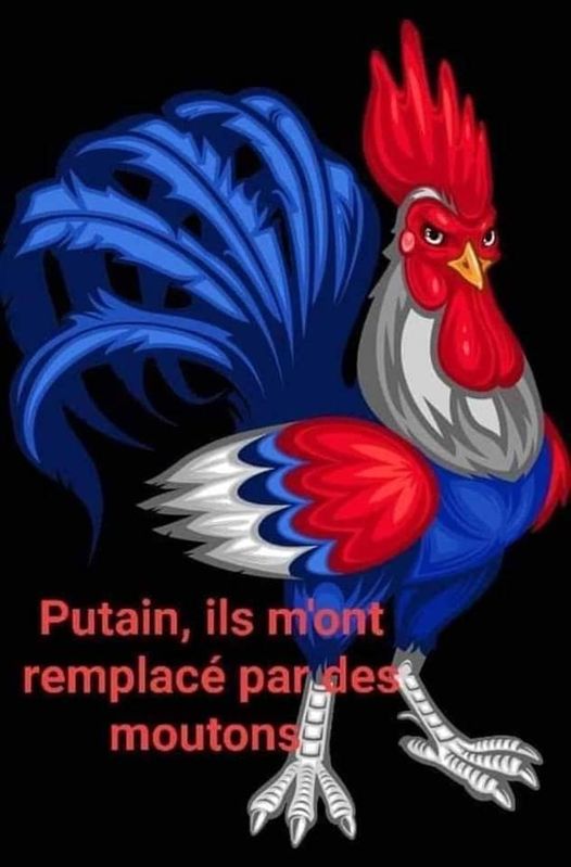 COUP de CHAUD! COUP de FROID!