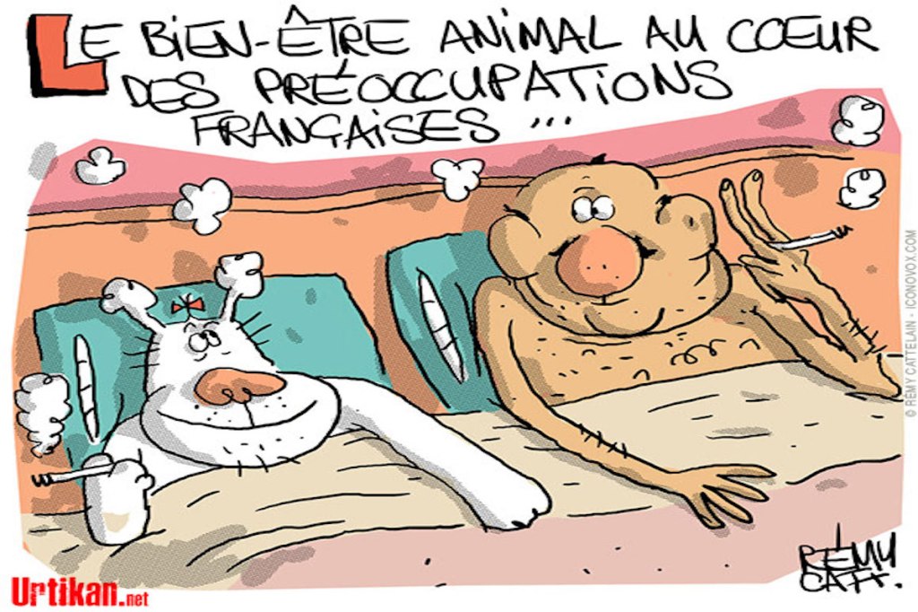 TOUT SAUF MACRON : épisode 2.. Espérons le&nbsp;dernier!