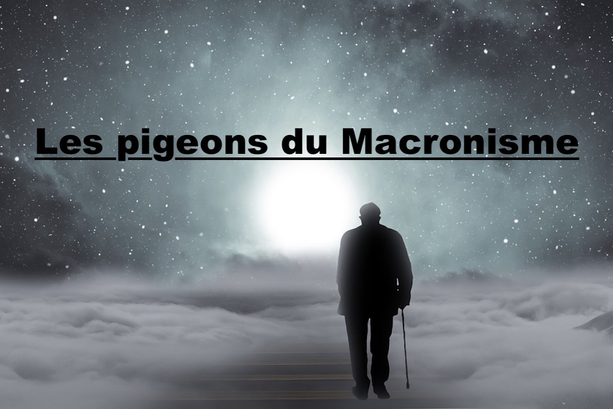 Les pigeons du Macronisme