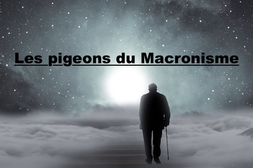 Les pigeons du&nbsp;Macronisme