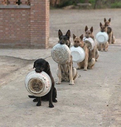 Comme en 40. Similitude ou pas ?