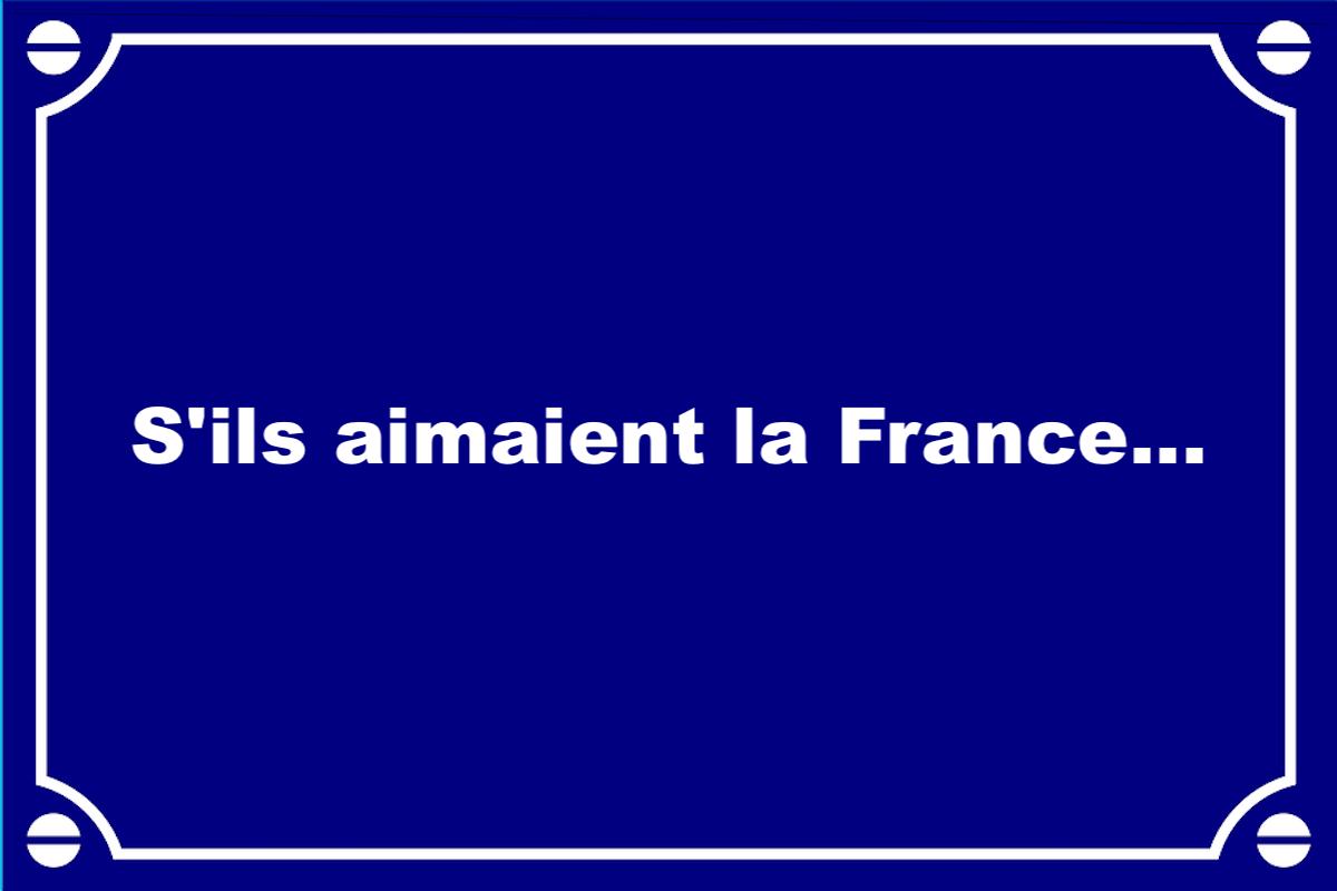 S&rsquo;ils aimaient la France…