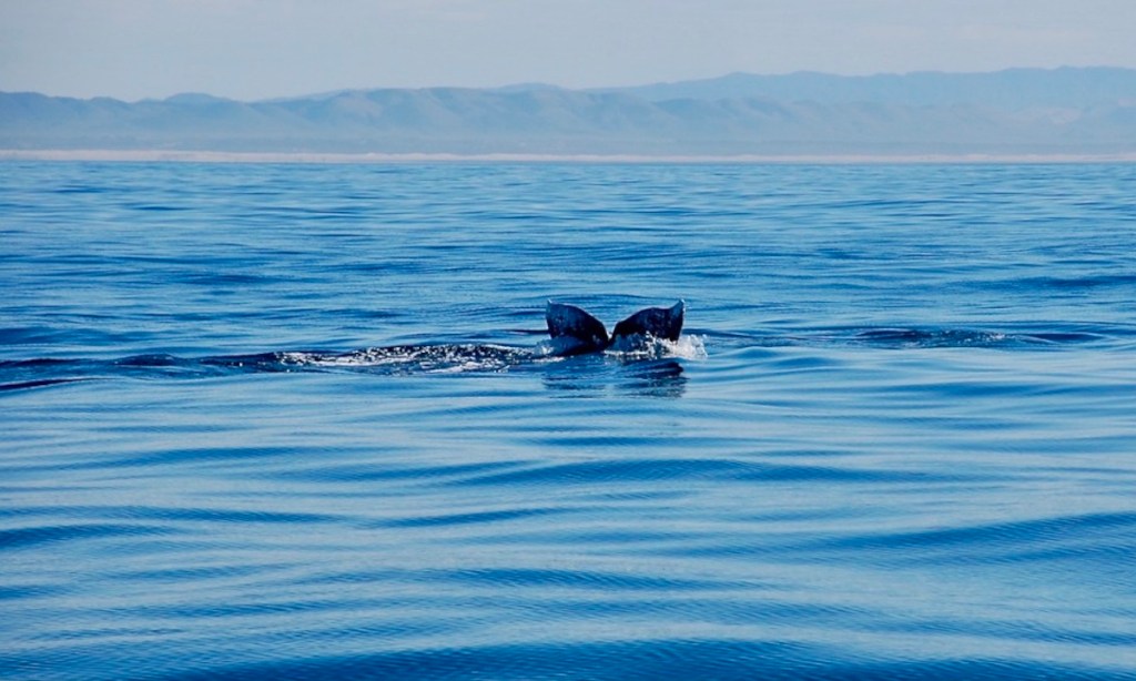 Je me sens&nbsp;perdu…