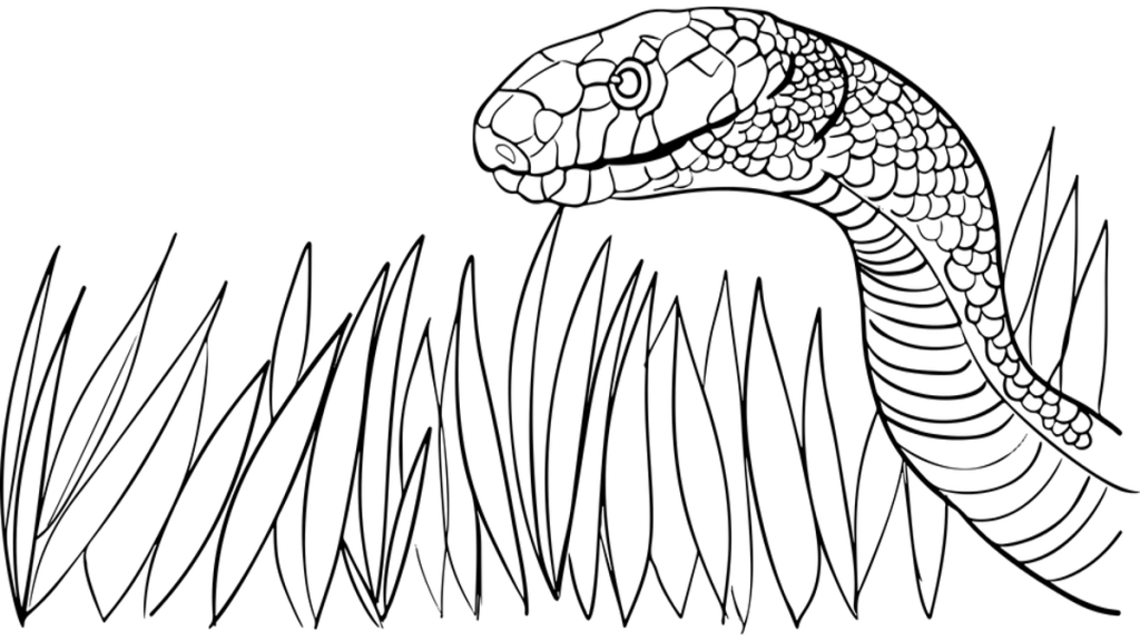 Nous sommes empoisonnés