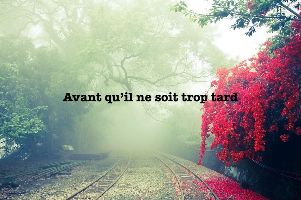 Avant qu&rsquo;il ne soit trop&nbsp;tard