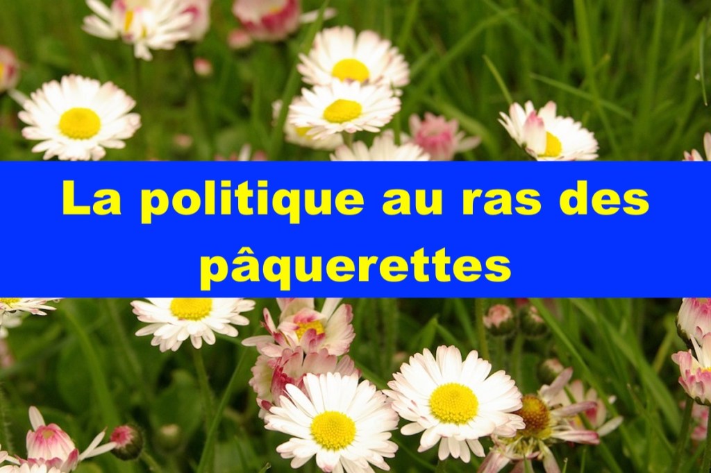 La politique au ras des&nbsp;pâquerettes