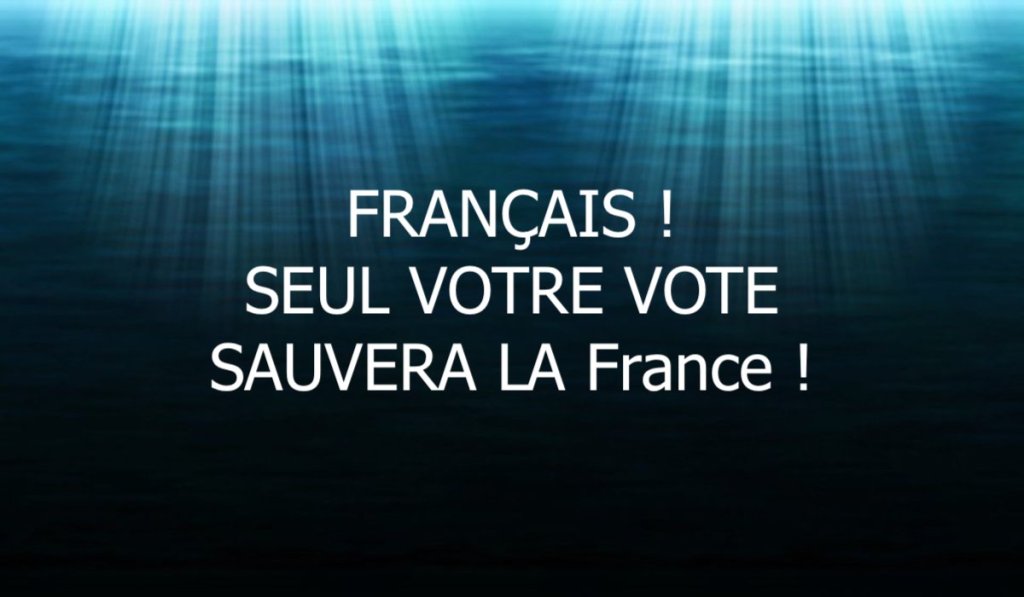 FRANÇAIS ! SEUL VOTRE VOTE SAUVERA LA France!&nbsp;.