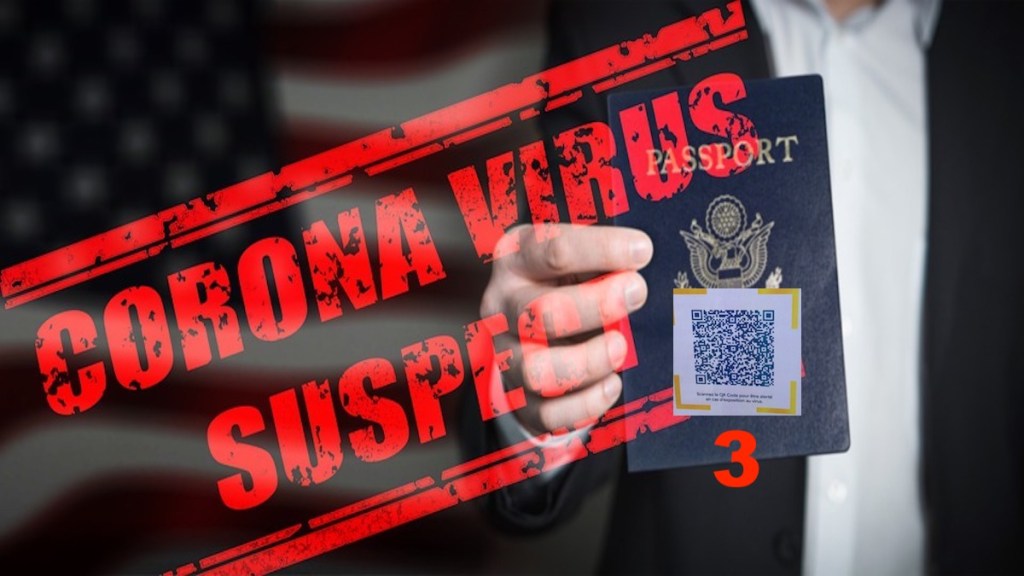 Pass sanitaire et Conseil constitutionnel : qu’en sera-t-il ?&nbsp;#3