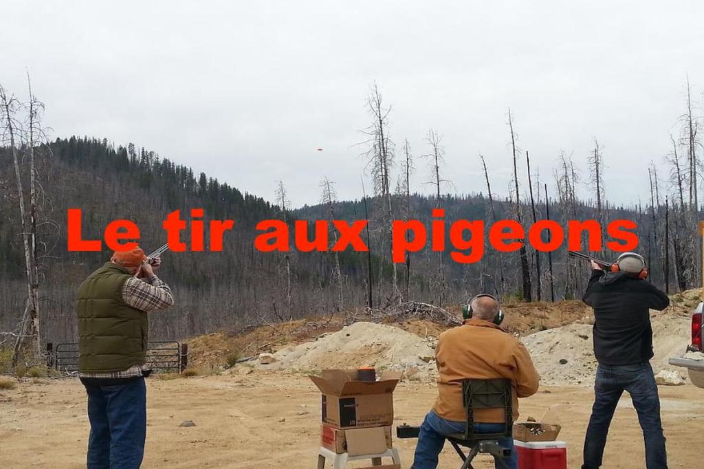 Le tir aux&nbsp;pigeons