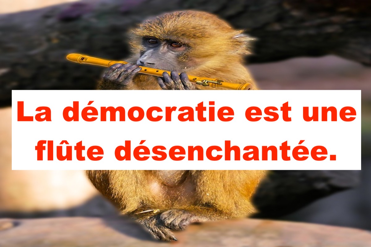 La démocratie est une flûte désenchantée