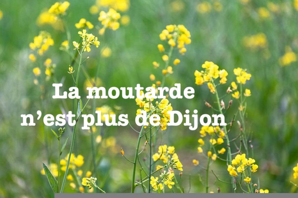 La moutarde n&rsquo;est plus de&nbsp;Dijon