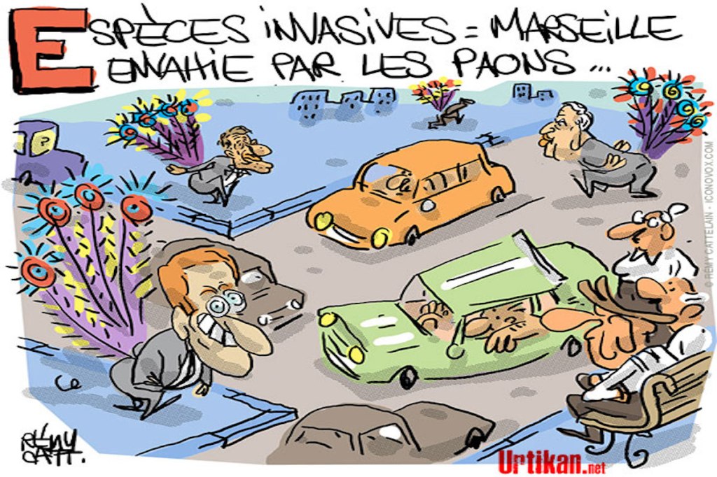 Macronéron sur tous les&nbsp;fronts.