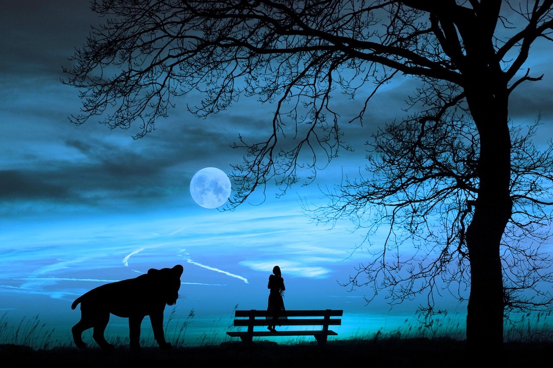 La nuit qui s&rsquo;en vient