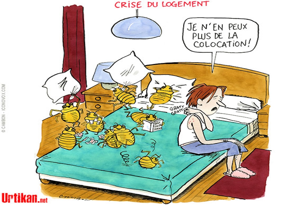 ILS NOUS PROMETTENT un arc- en-ciel !