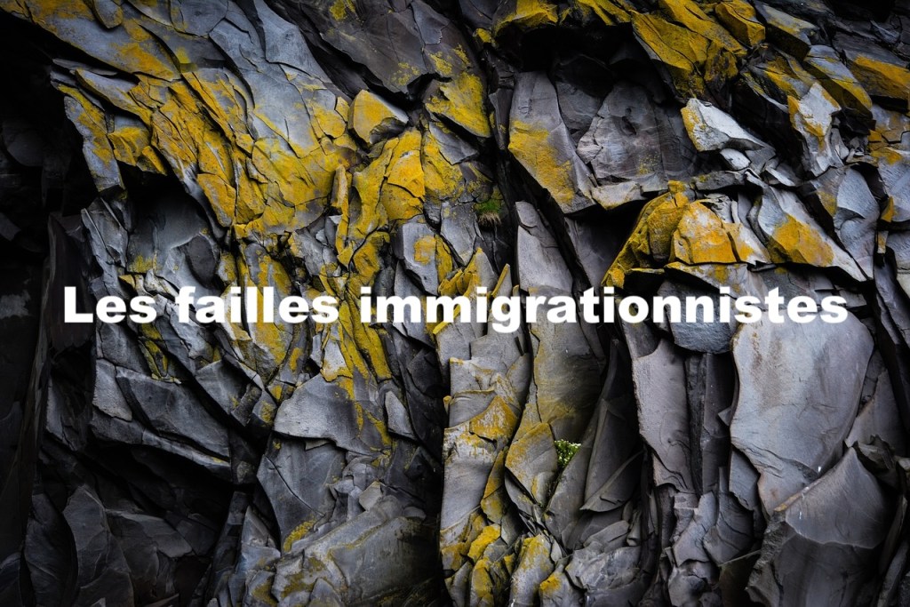 Les failles immigrationnistes
