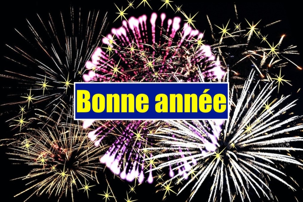 Observatoire du MENSONGE vous souhaite une bonne année&nbsp;2025