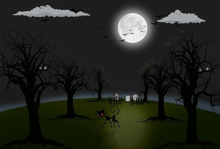 &nbsp;&raquo; Les mots sont les maux&nbsp;&laquo;&nbsp;