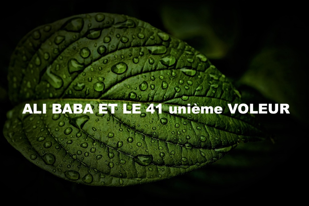 ALI BABA ET LE 41 unième VOLEUR