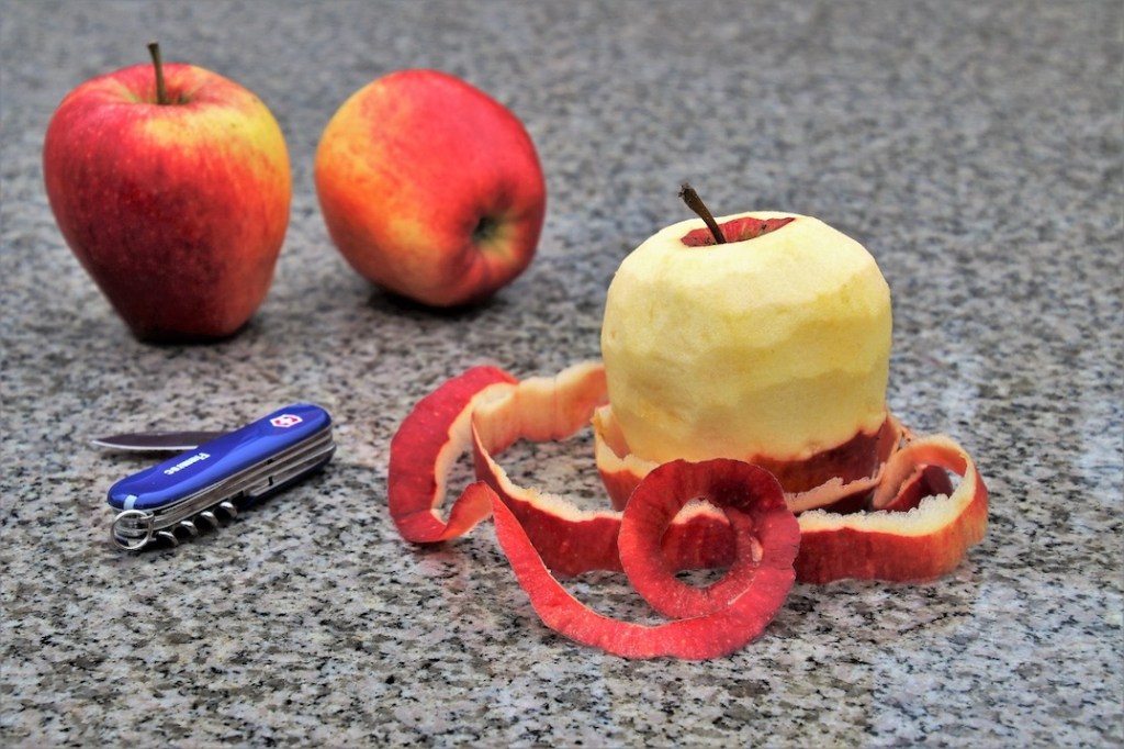 SAUVER CE QUI RESTE DU PEUPLE FRANÇAIS&nbsp;!