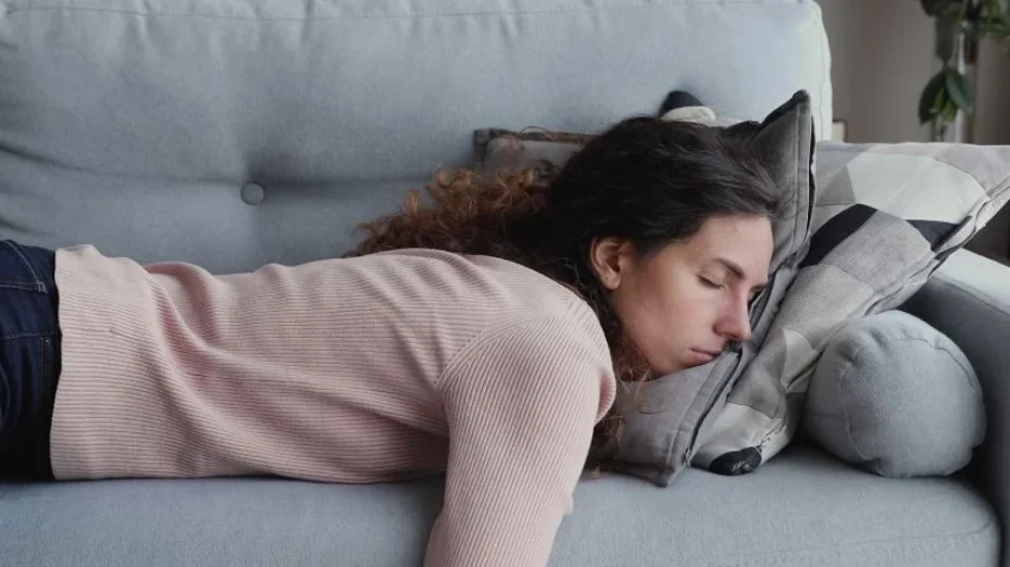 Programmes : pas étonnant que certains profs vrillent !