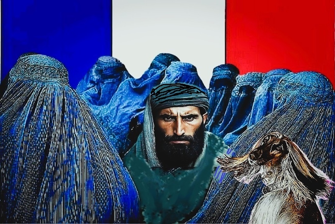 L’Insee avoue le Grand Remplacement, les municipales confirment