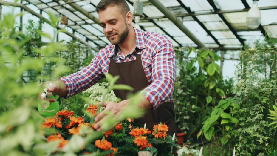 Toujours plus de taxes : la France s’attaque désormais aux serres de jardin