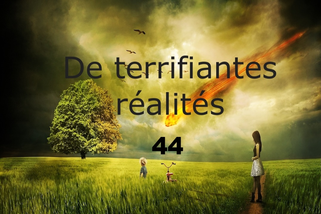 De terrifiantes réalités 44